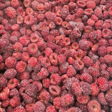 국내산 냉동 산딸기 1kg, 상세페이지 참조, 1개