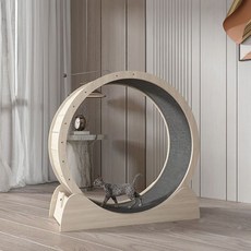 고양이 스크래치 러닝머신 캣휠 쳇바퀴 운동기구 휠등반 관람차, M/3 - 5kg, 1개
