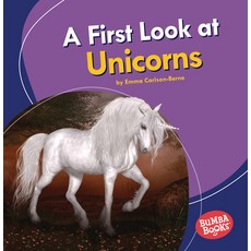 A First Look at Unicorns Paperback, Lerner Publications (Tm)