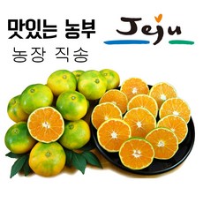 귤림원하우스감귤
