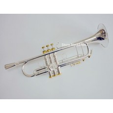 바하트럼펫수입