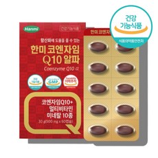 큐비코