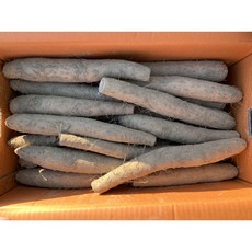 진주마