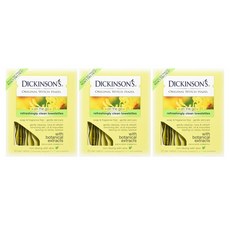 Dickinson's Original Witch Hazel Clean Towelettes 디킨슨 오리지널 위치하젤 클렌징 티슈 20매 3팩