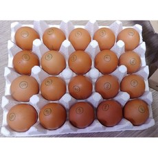 알부자집특란90구