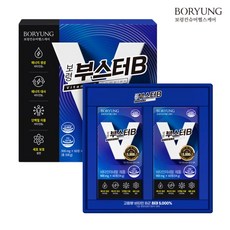 보령 보령 부스터B 고함량비타민 비타민B 선물세트 4개월분, 보령 보령 부스터B 고함량비타민 비타민B 선물세트 4개, 60정