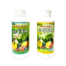 물레성형
