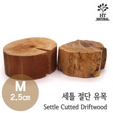 세틀 절단 유목 M (2.5cm), 1개