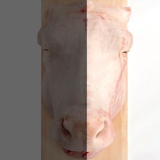 육우거세 소머리 통머리 반마리, 단품