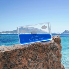 대시보드워터볼