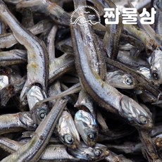 오사리안주멸치