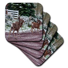 3dRose cst_49515_2 Close Up of Five Deer Crossing Road in Pine Valley Utah with Cabin Behind-Soft C, 1, 기타