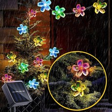 24fb3eeb74ec47aaab5a87be01c7e7de630bf66a66b886bece832286d058.jpeg