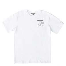 이누스프로베이직