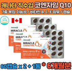 에이플러스코큐텐