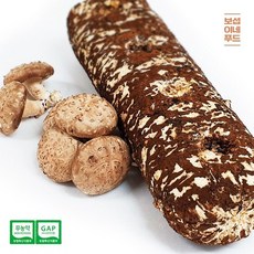 표고버섯배지