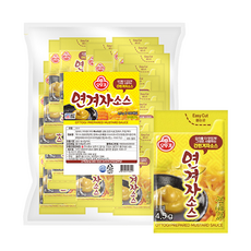 범아일회용겨자