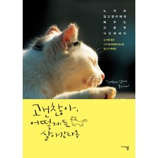 괜찮아 어떻게든 살아간다옹:노자와 길고양이에게 배우는 인문학 사진에세이, 미디어샘