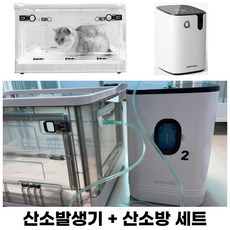 고양이산소방산소발생기세트