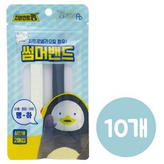 성인썸머밴드