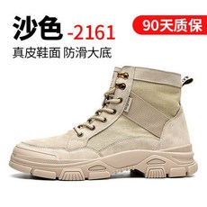 사막화전술화