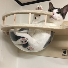 고양이 벽 투명 해먹 1묘, 매트 해먹, 안전 울타리 추가, 1개