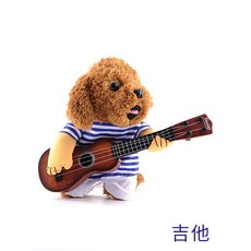 ib대학