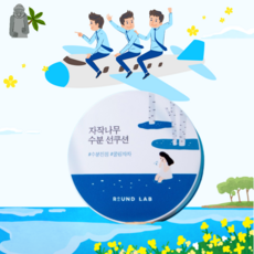 자작나무수분선쿠션-추천-상품