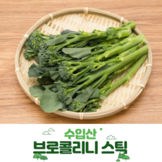 호주산 싱싱한 브로콜리니 스틱, 1개, 1kg