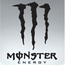 카니발전동트렁크