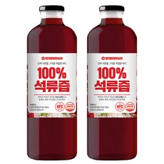 푸르담 착즙 석류즙 원액, 2병, 1L