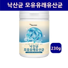 낙산균 유산균 모유유래 낙산 균 분말 루테리 프로바이오틱스 미야리 뷰티르 산 아시도필루스 가세리 프락토올리고당 프리바이오틱스 신바이오틱스 19종혼합 가루 파우더 장건강 효능 추천, 1개, 230g