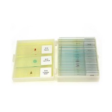 [과학쌤이오] 프리미어 현미경 프레파라트 25종 세트 PS50 / 관찰용 표본 슬라이드