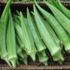 냉동오크라 Okra1kg 3kg 냉동오크라 오쿠라 레이디핑거 야채 급냉동