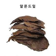 일산피부관리