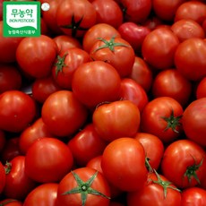 [GMD]충남 논산 산지직송 친환경 무농약 완숙 토마토 찰토마토, 1박스, 2kg