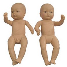 성교육인형