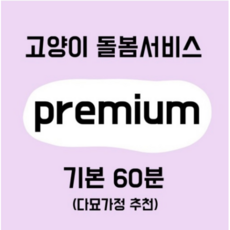 캣시터구미방문탁묘 프리미엄(60분)