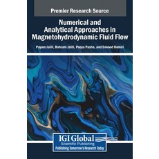 (영문도서) Numerical and Analytical Approaches in Magnetohydrodynamic Fluid Flow Hardcover, IGI Global, English, 9798369353356