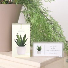 백일동안 재고처분특가 유산소 화분(60g) (산소발생식 공기정화제 고체산소), 1개