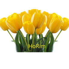 479514f5fe2f583ddd8d36b3c4405e0aeb0f663605bbe72f7c7c033e48df.png