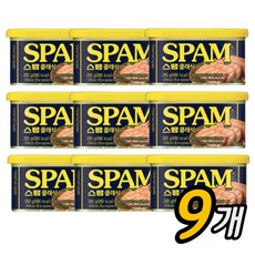 백설 스팸 클래식 340g 19개 상품 이미지