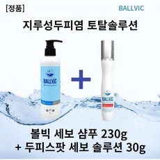 볼빅세보솔루션