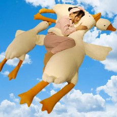 오리바디필로우