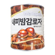 추천3 웰스피아