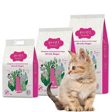 천하제일 원더캣츠 전연령 10kg