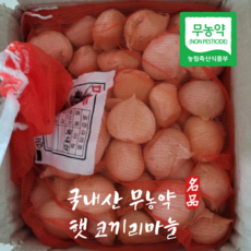 국산 알찬 무농약 코끼리마늘 쪽마늘 상급 1kg, 1개