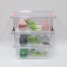 조이클린케이지 투명 중 크레스티드게코 적재형, 투명(화이트), 1개
