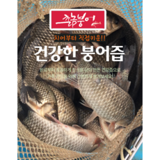 붕어즙