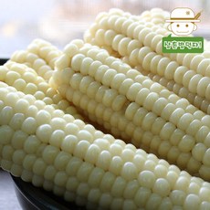 옥수수밥